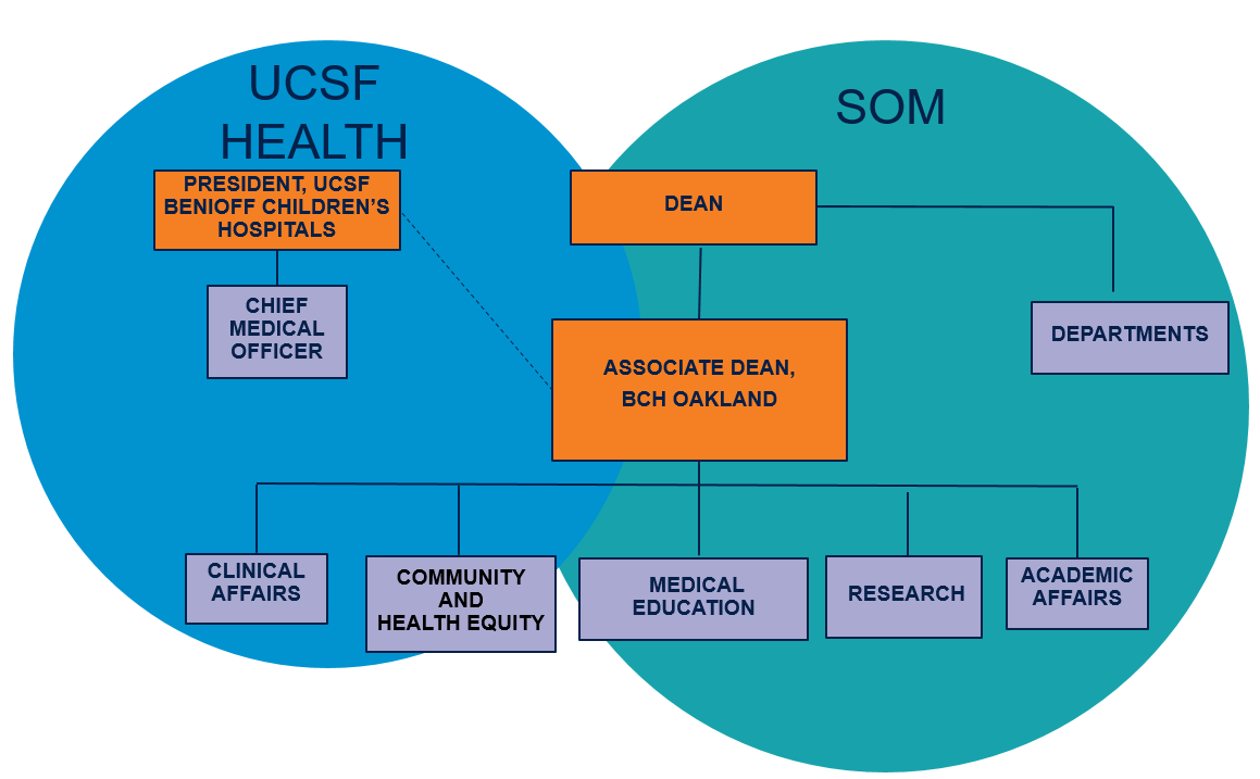 Organizational structure shared between Dean's office and Hospital